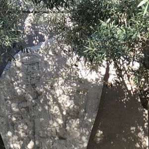 Meet your Posher, Liliana